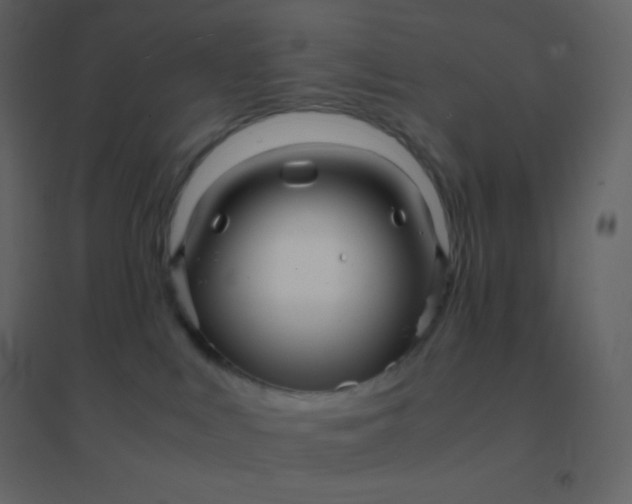 X0000094950043200712131632