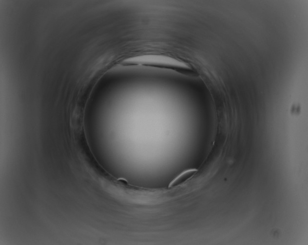 X0000094950044200712131632