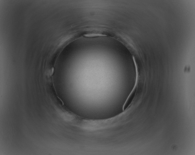 X0000094950045200712131632