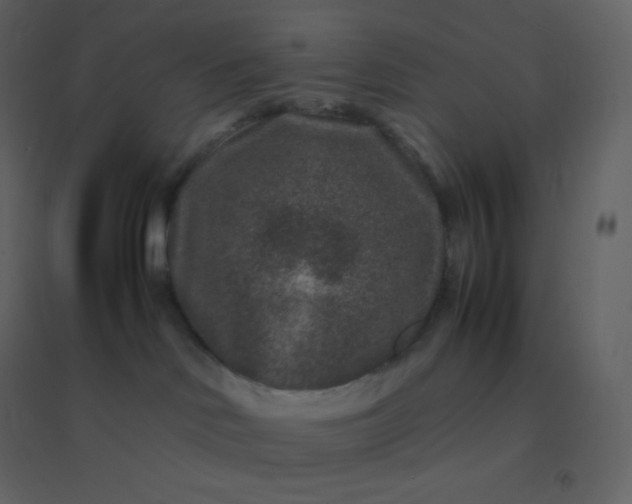 X0000094950046200712131632