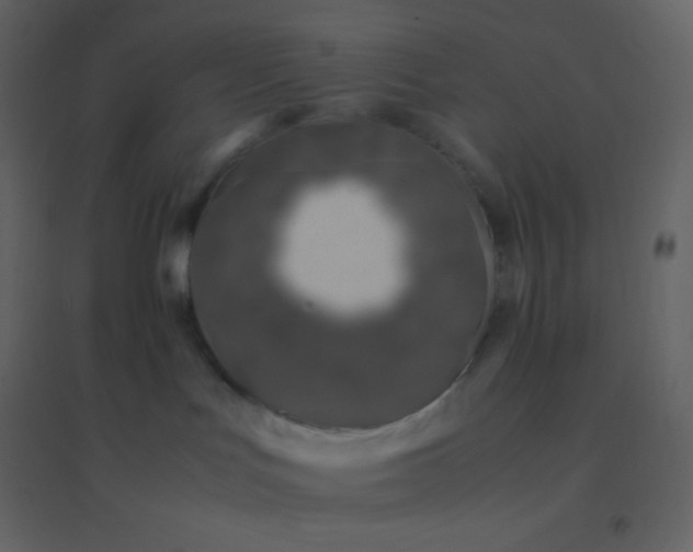 X0000094950047200712131632