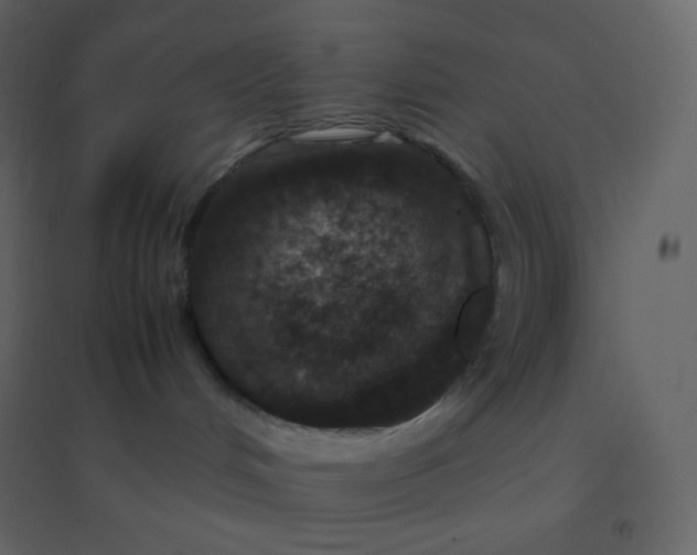 X0000094950048200712131632