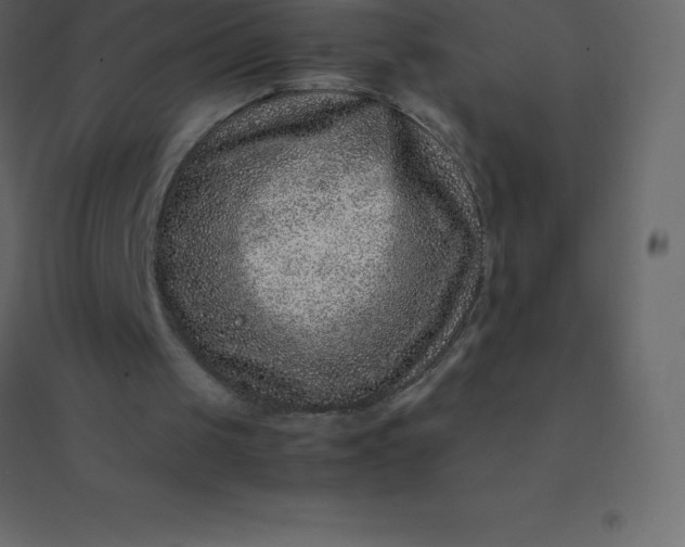 X0000094950049200712131631