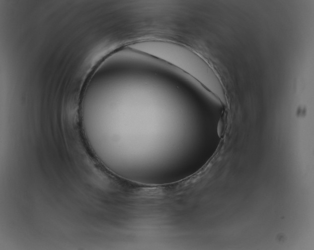 X0000094950050200712131631