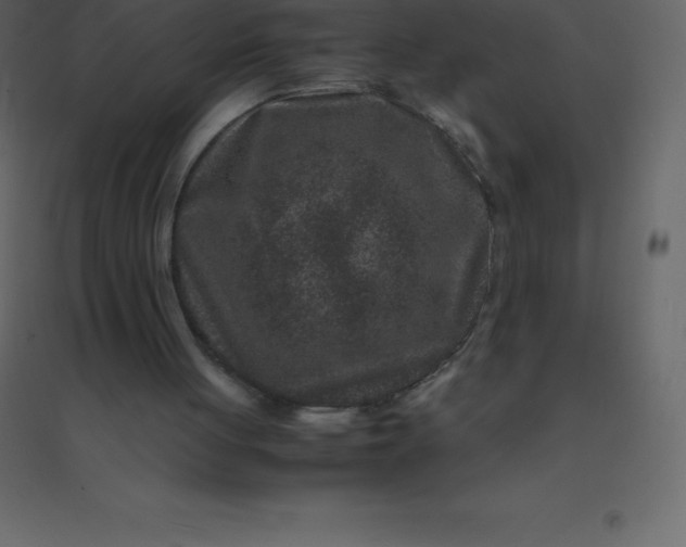 X0000094950051200712131631