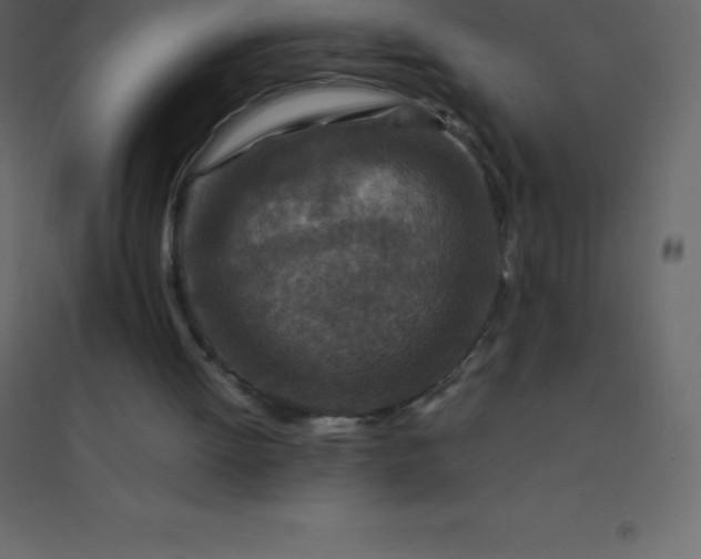 X0000094950052200712131631