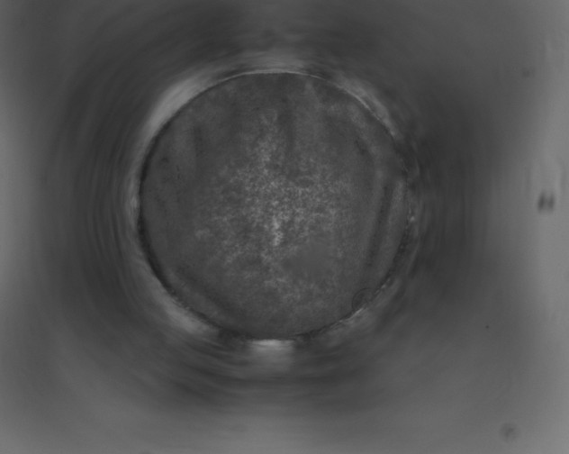 X0000094950053200712131631