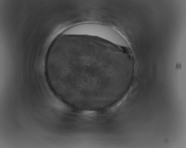 X0000094950055200712131631