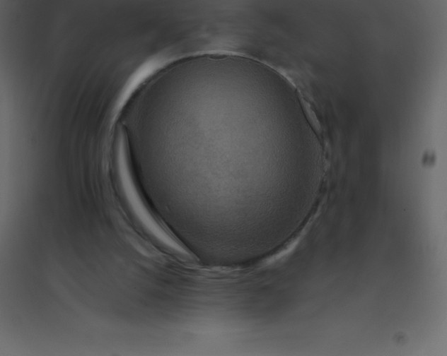 X0000094950056200712131631