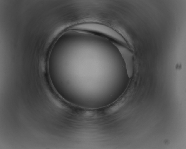 X0000094950060200712131631