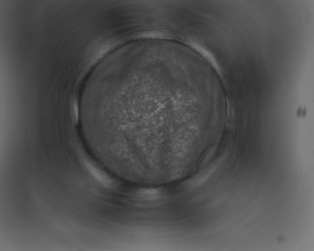 X0000094950061200712131631