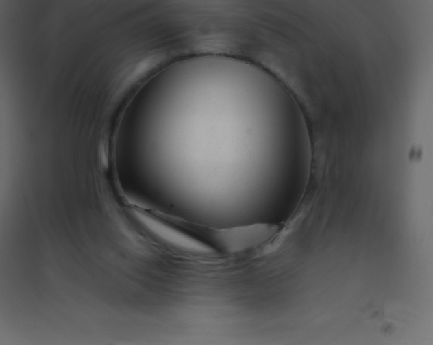 X0000094950062200712131631