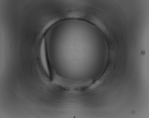 X0000094950064200712131631