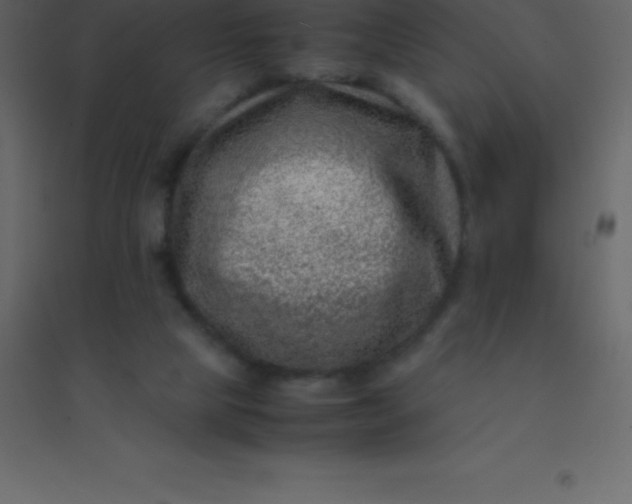 X0000094950065200712131631