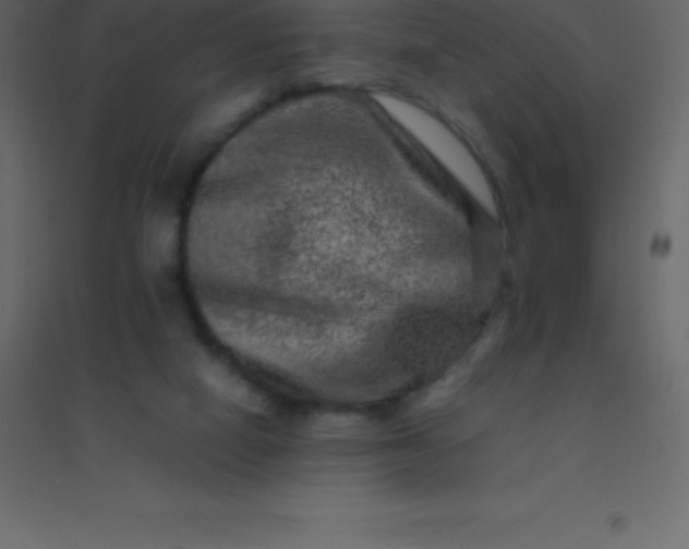 X0000094950066200712131631