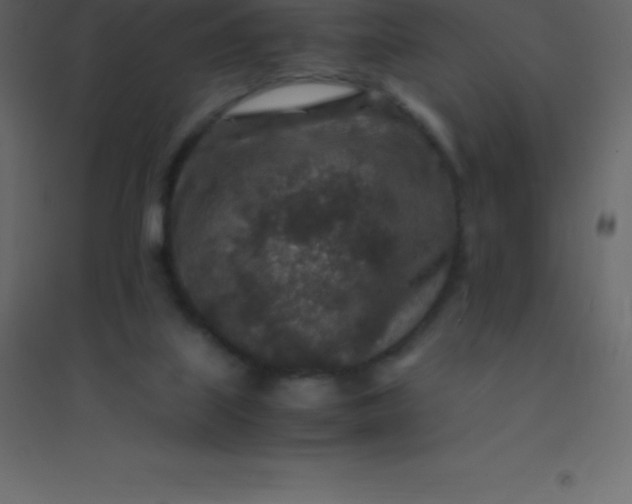 X0000094950067200712131631