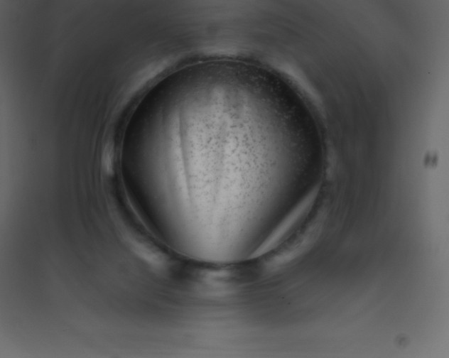 X0000094950068200712131631