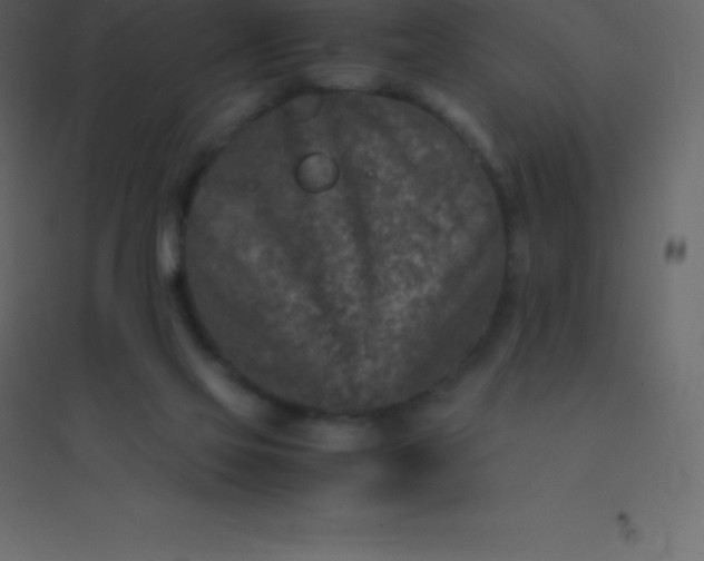 X0000094950069200712131631