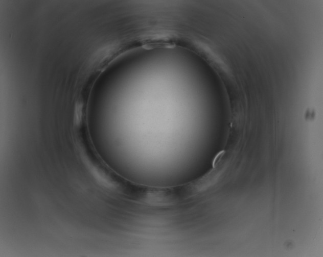 X0000094950070200712131631