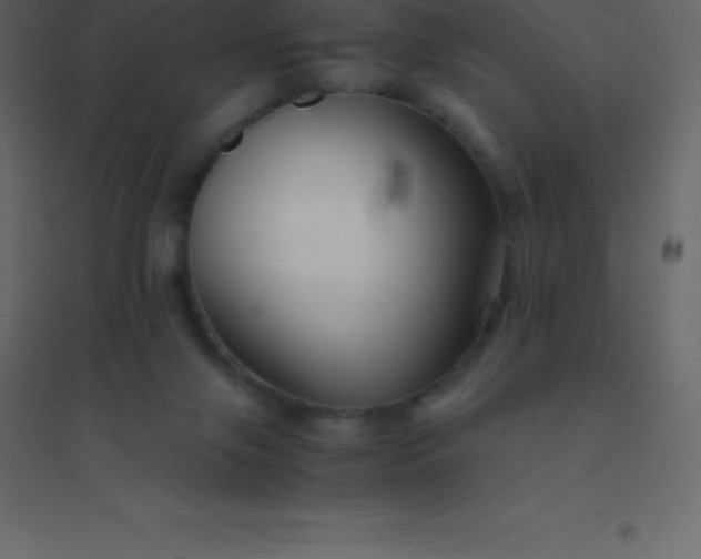 X0000094950071200712131631