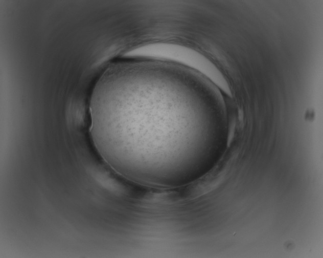 X0000094950072200712131631