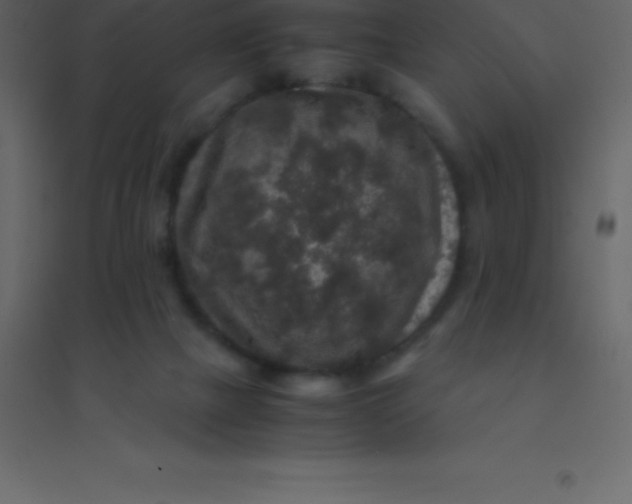 X0000094950073200712131631