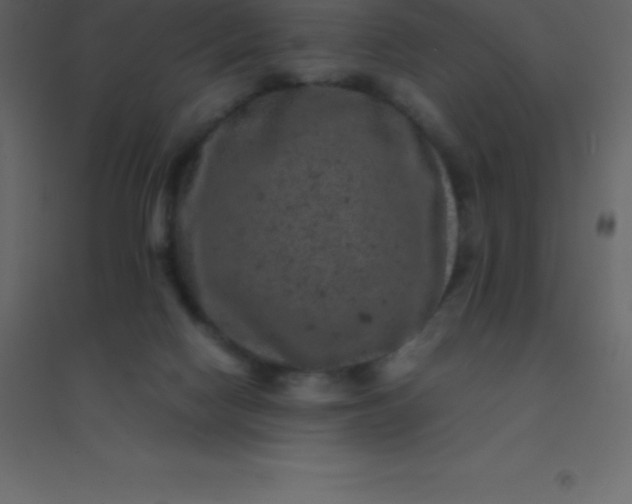 X0000094950074200712131631