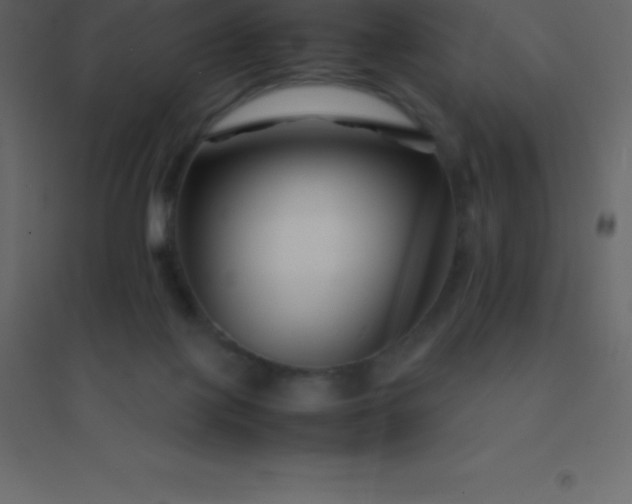 X0000094950075200712131631