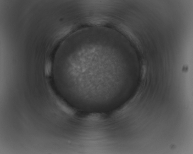 X0000094950076200712131631