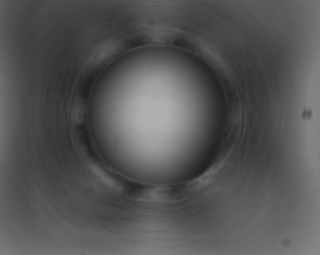 X0000094950078200712131631