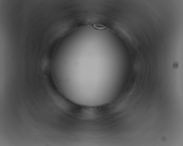 X0000094950079200712131631