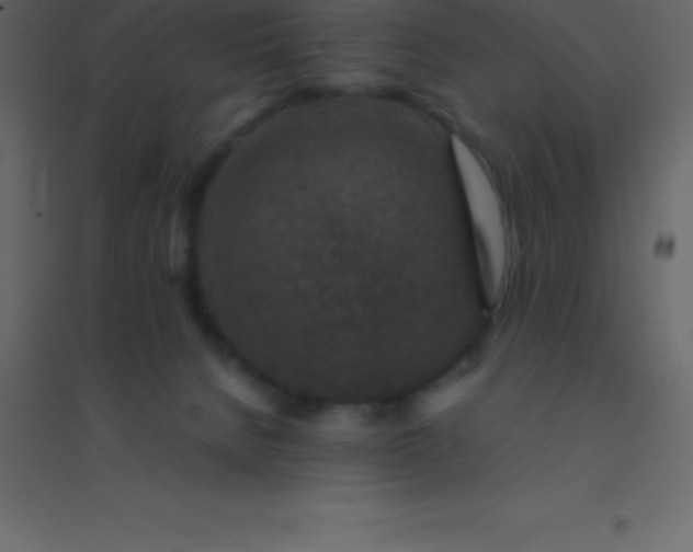 X0000094950080200712131631