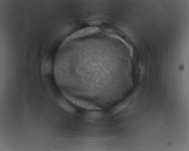 X0000094950081200712131631