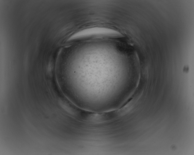 X0000094950082200712131631