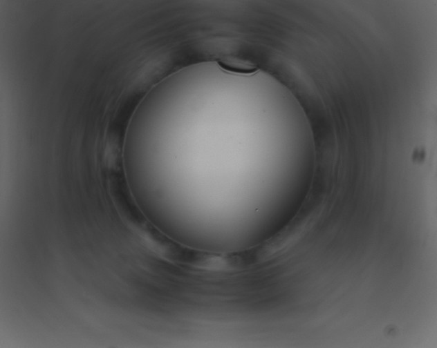 X0000094950083200712131631