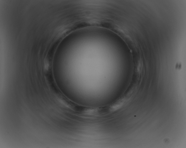 X0000094950084200712131631