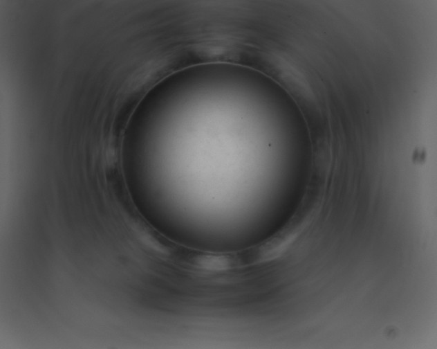 X0000094950085200712131631