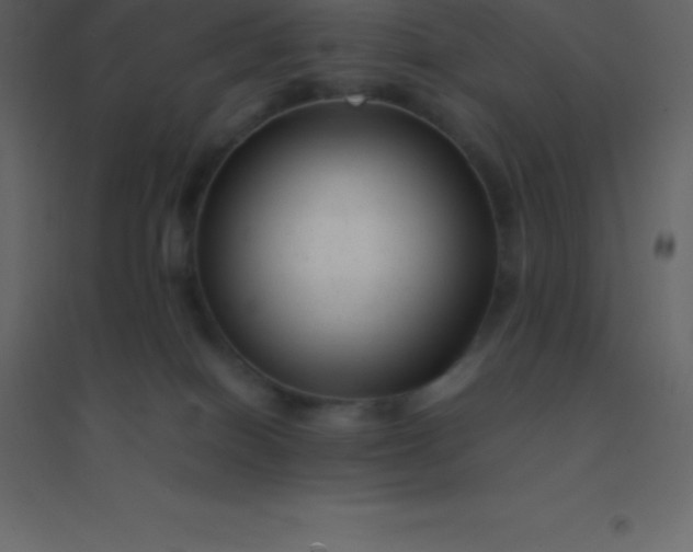 X0000094950086200712131631