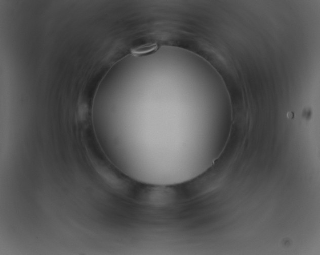 X0000094950087200712131631