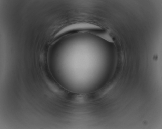 X0000094950088200712131631