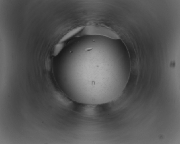 X0000094950090200712131631