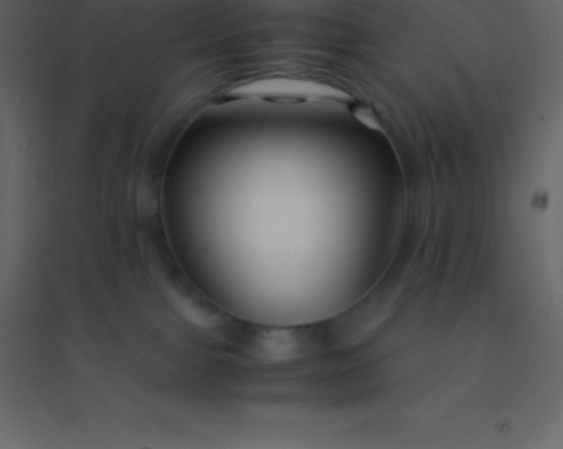 X0000094950091200712131631