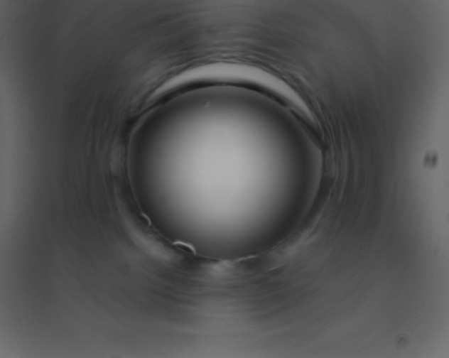 X0000094950092200712131631