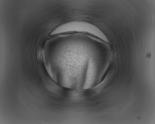 X0000094950094200712131632