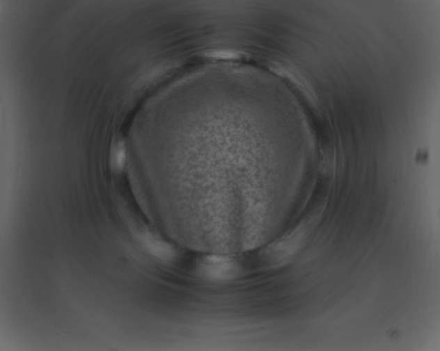 X0000094950095200712131632