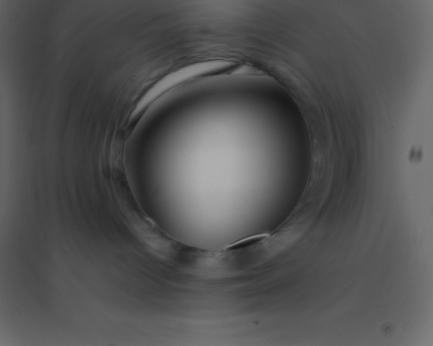 X0000094950096200712131632