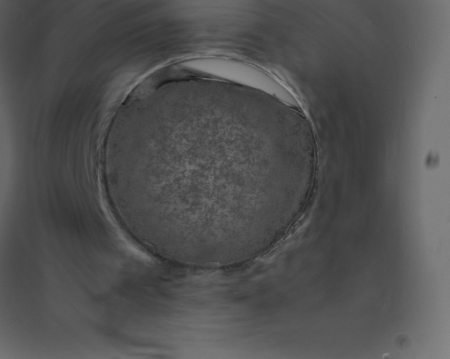 X0000094950097200712131631