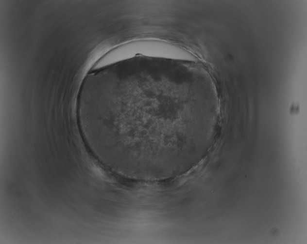 X0000094950099200712131631