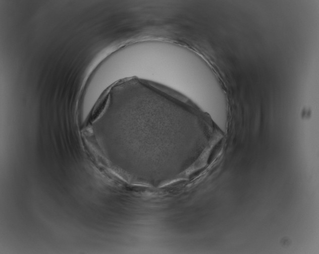 X0000094950100200712131631