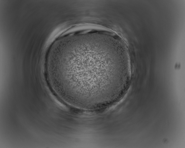 X0000094950101200712131631